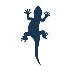 PetDesk favicon