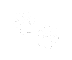 Pet Care